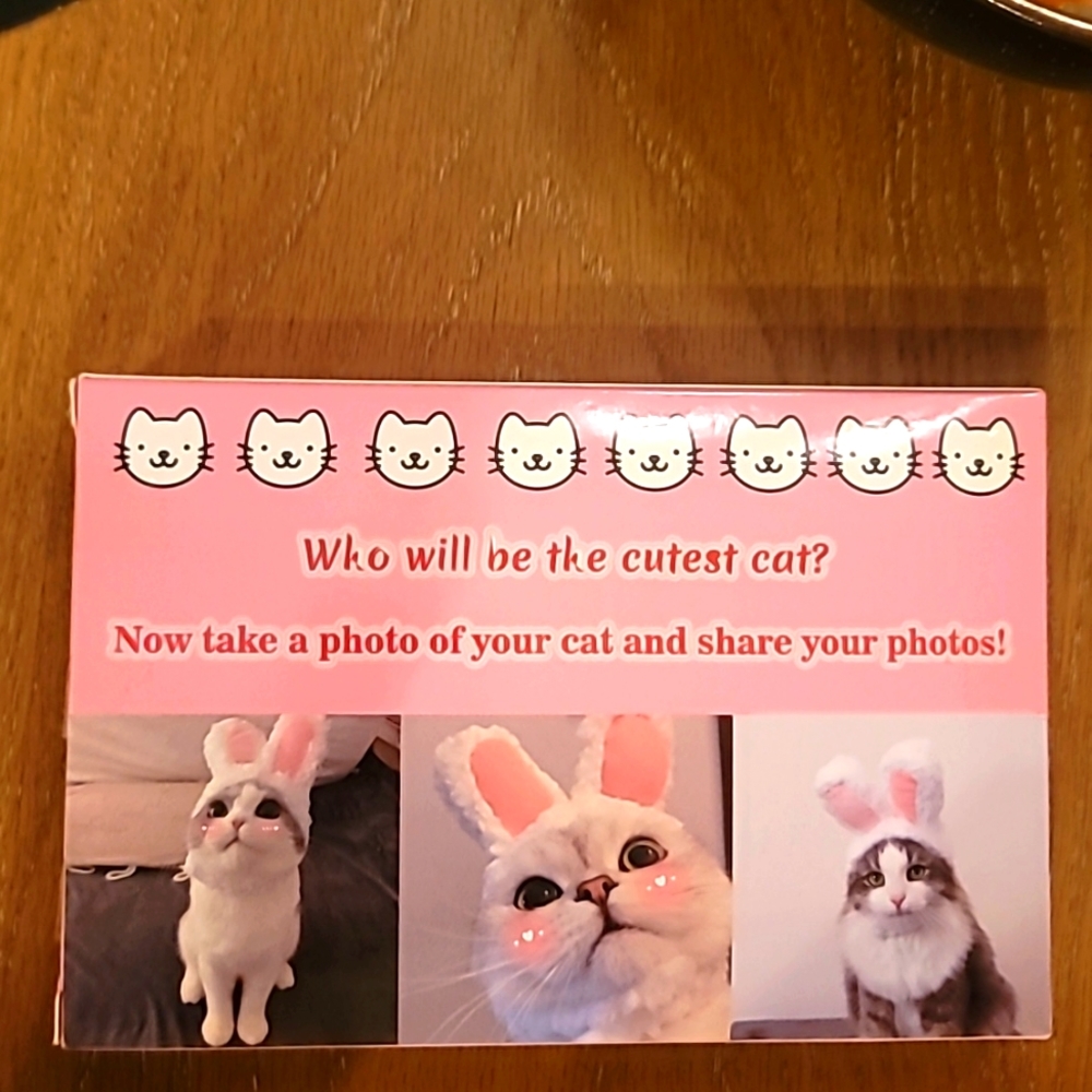 Cat Cute Bunny Ears